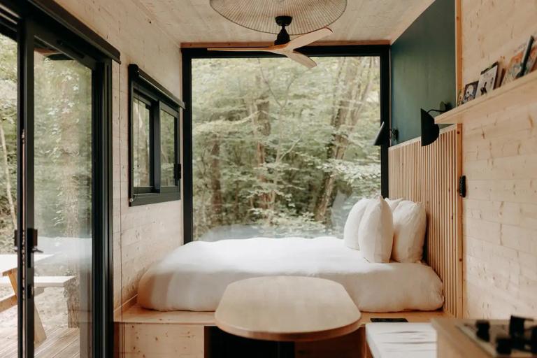 L’intérieur de Diadème ouvert sur la forêt
